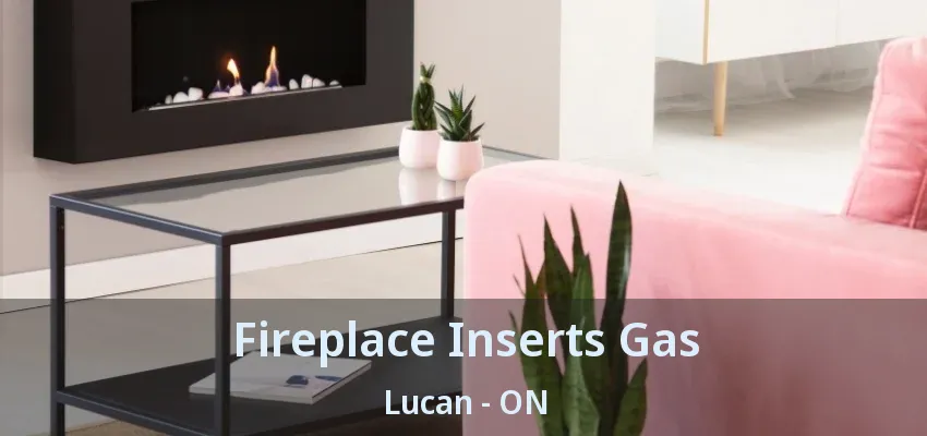 Fireplace Inserts Gas Lucan - ON Fireplace Inserts Gas Lucan - ON