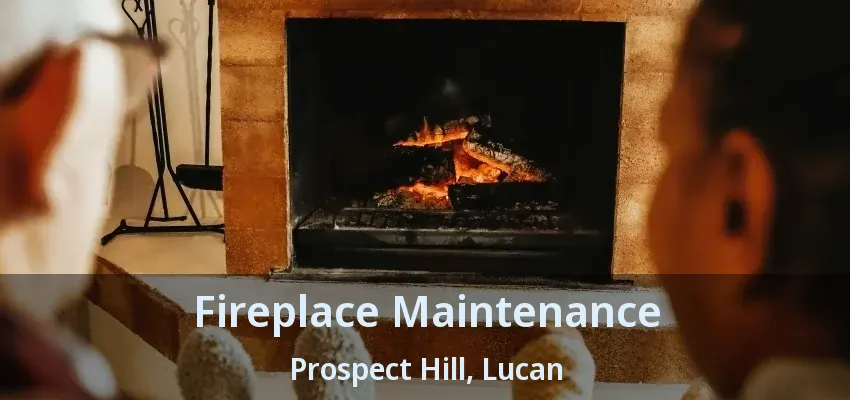 Fireplace Maintenance Prospect Hill, Lucan - ON