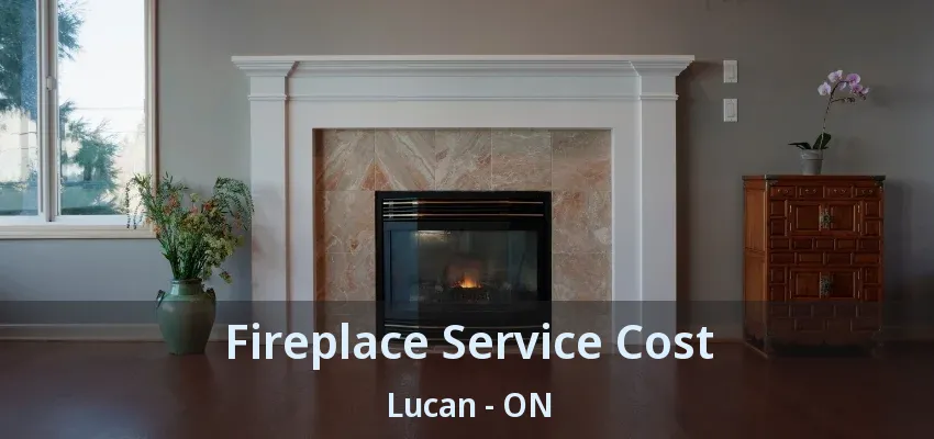 Fireplace Service Cost Lucan - ON