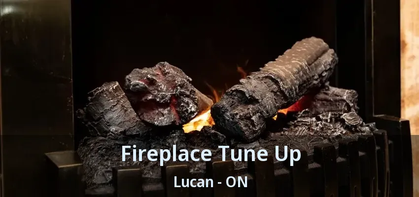 Fireplace Tune Up Lucan - ON