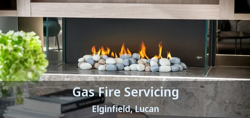 Gas Fire Servicing Elginfield, Lucan - ON