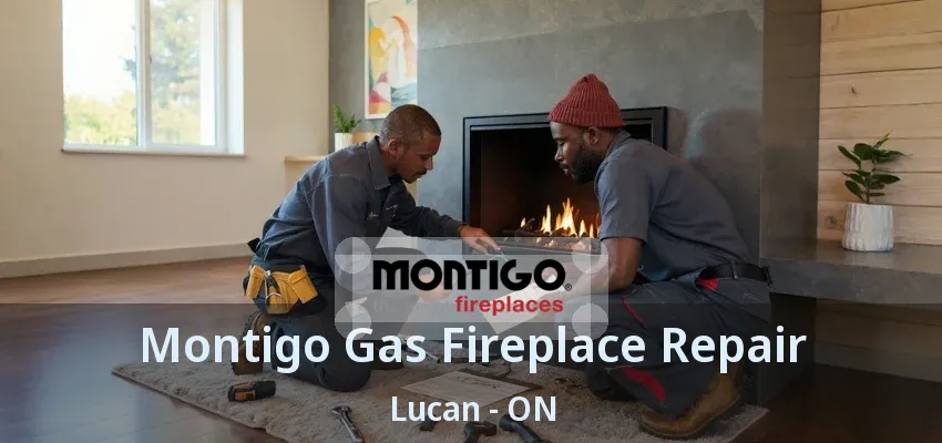 Montigo Gas Fireplace Repair Lucan - ON Montigo Gas Fireplace Repair Lucan - ON