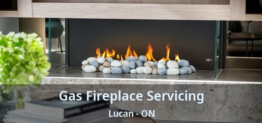 Gas Fireplace Servicing Lucan - ON