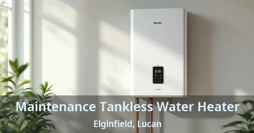 Maintenance Tankless Water Heater Elginfield, Lucan - ON