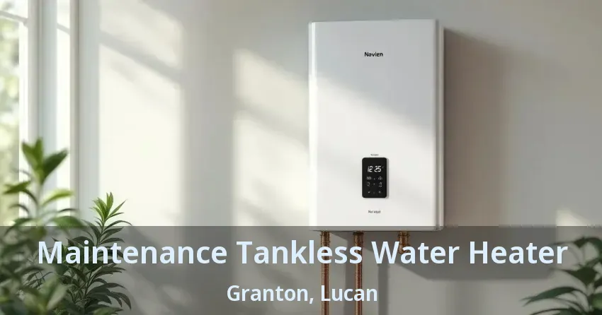 Maintenance Tankless Water Heater Granton, Lucan - ON