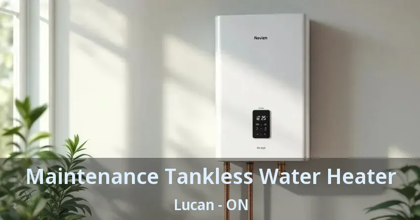 Maintenance Tankless Water Heater Lucan - ON Maintenance Tankless Water Heater Lucan - ON