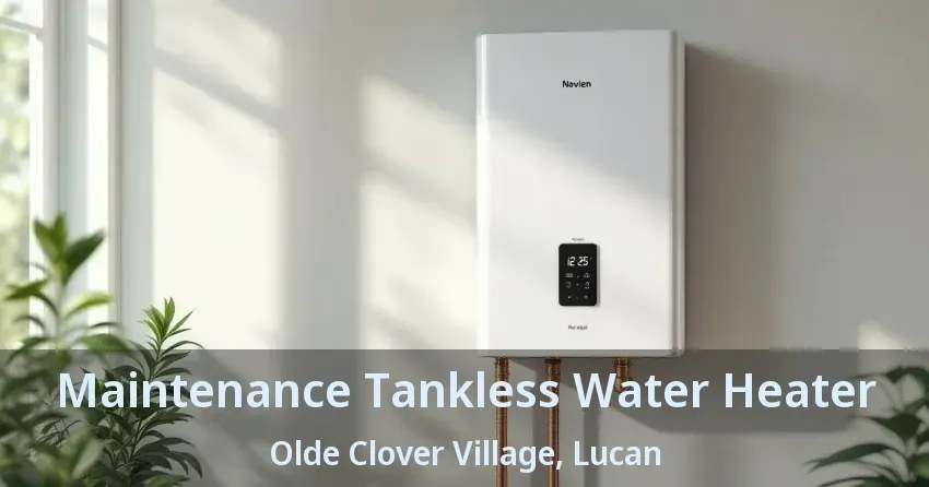 Maintenance Tankless Water Heater Olde Clover Village, Lucan - ON