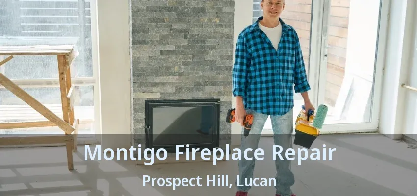 Montigo Fireplace Repair Prospect Hill, Lucan - ON