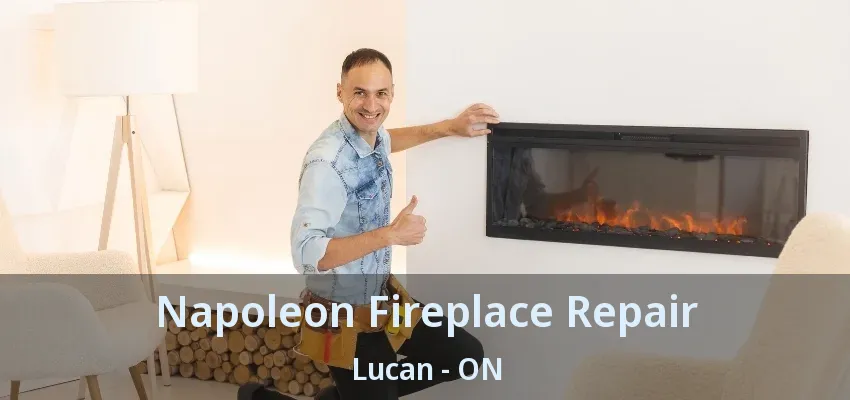 Napoleon Fireplace Repair Lucan - ON