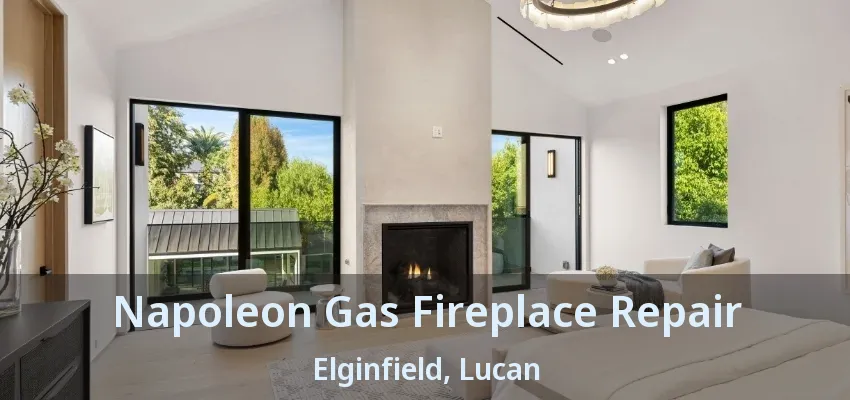 Napoleon Gas Fireplace Repair Elginfield, Lucan - ON