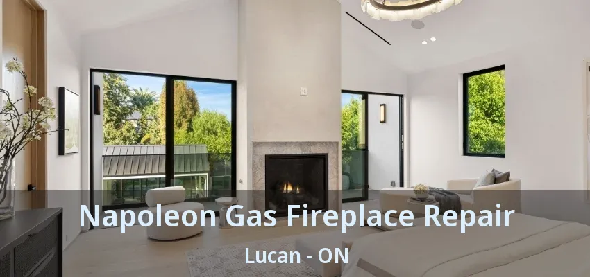 Napoleon Gas Fireplace Repair Lucan - ON