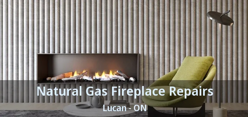 Natural Gas Fireplace Repairs Lucan - ON