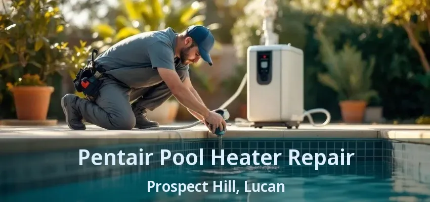 Pentair Pool Heater Repair Prospect Hill, Lucan - ON