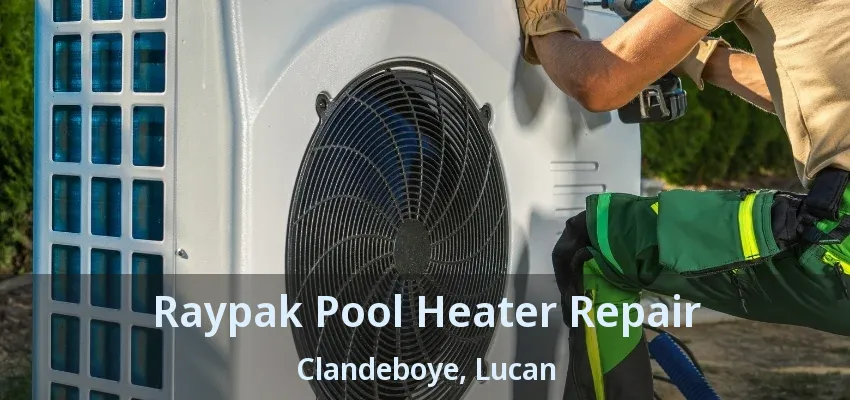 Raypak Pool Heater Repair Clandeboye, Lucan - ON