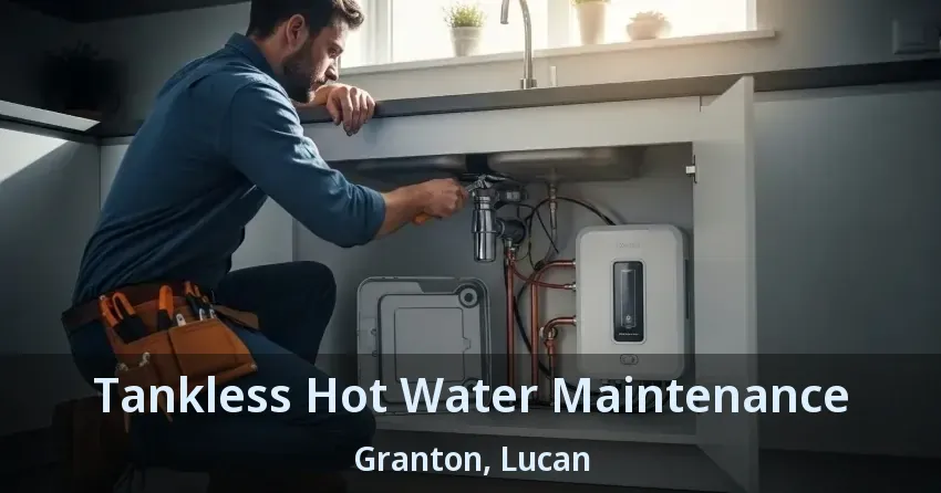 Tankless Hot Water Maintenance Granton, Lucan - ON Tankless Hot Water Maintenance Granton, Lucan - ON