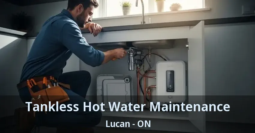 Tankless Hot Water Maintenance Lucan - ON