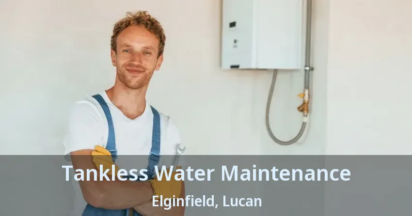 Tankless Water Maintenance Elginfield, Lucan - ON