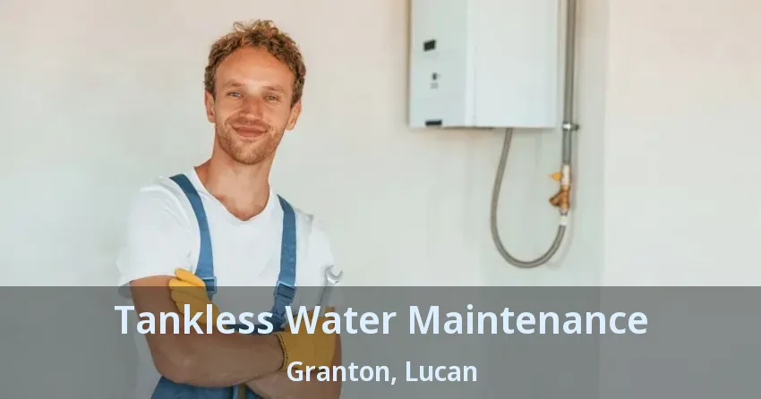 Tankless Water Maintenance Granton, Lucan - ON