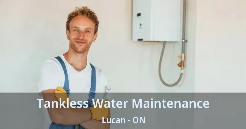 Tankless Water Maintenance Lucan - ON