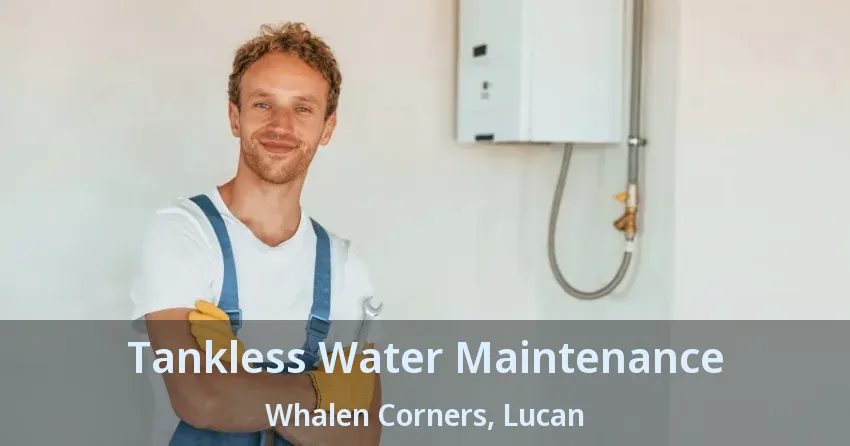 Tankless Water Maintenance Whalen Corners, Lucan - ON